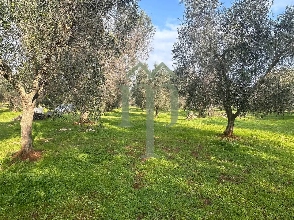 Land in San Vito dei Normanni, Brindisi - photo 1